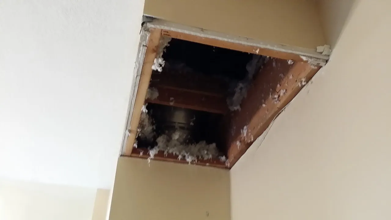Drywall Repair project photo 9 — Denver metro