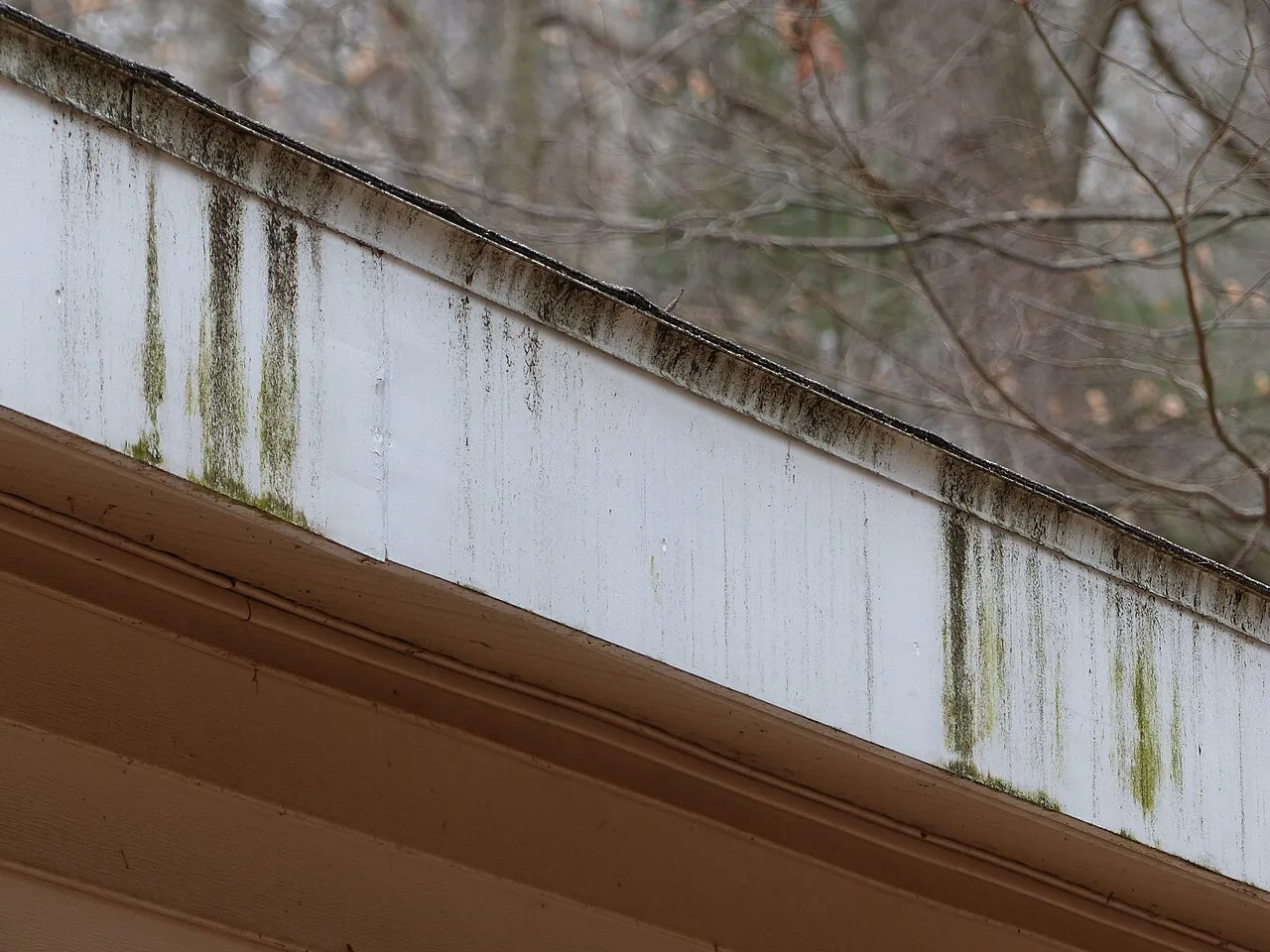 Gutter Installation project photo 6 — Denver metro
