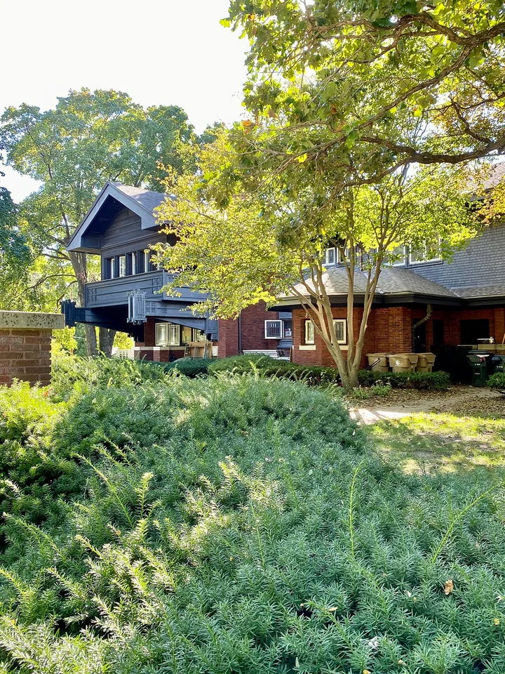 Siding Repair project photo 9 — Denver metro